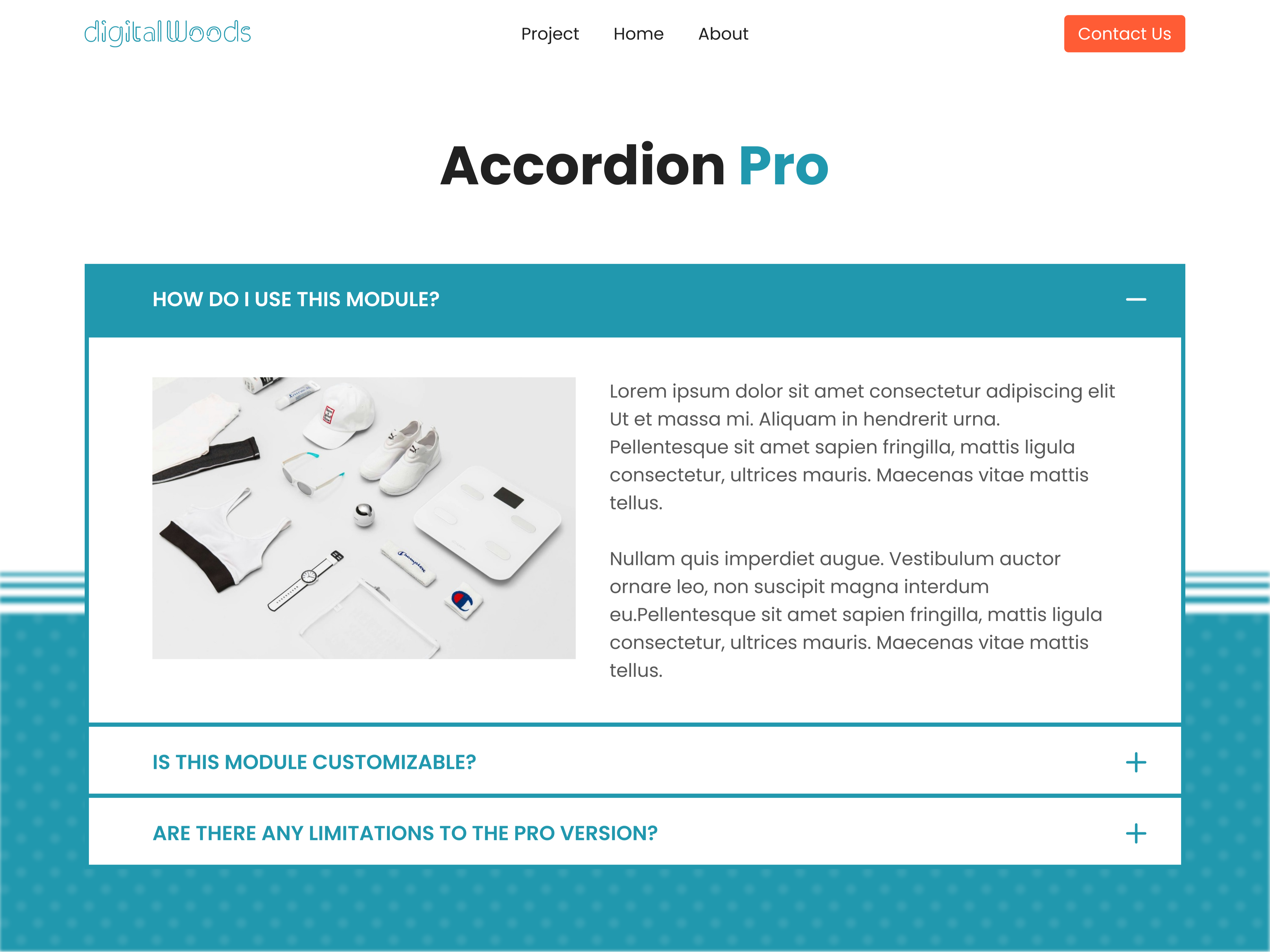 Harmonizing content effortlessly: Explore our Accordion module for a seamless browsing experience!